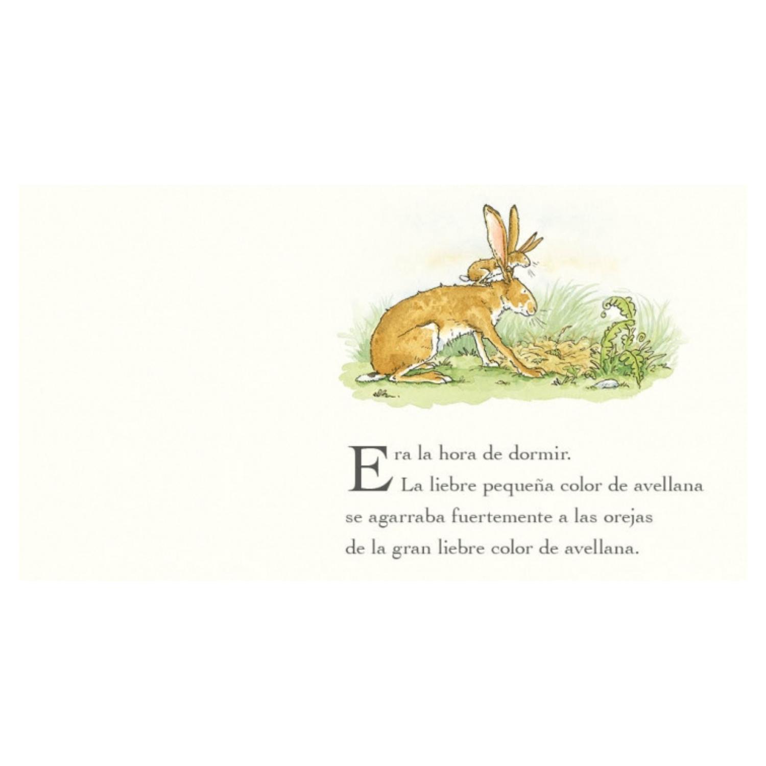 LIBRO ADIVINA CUÁNTO TE QUIERO T.D. - 2