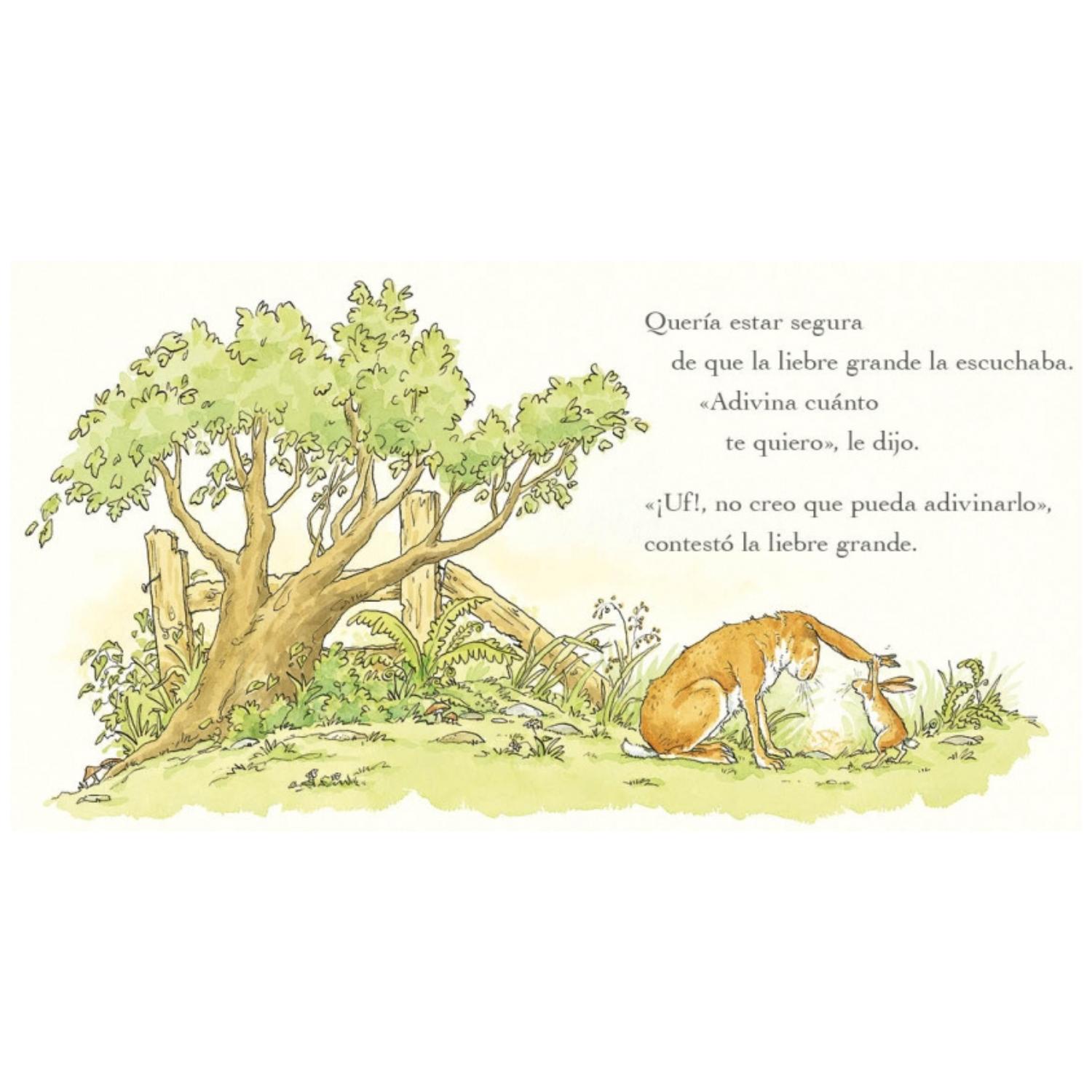 LIBRO ADIVINA CUÁNTO TE QUIERO T.D. - 3