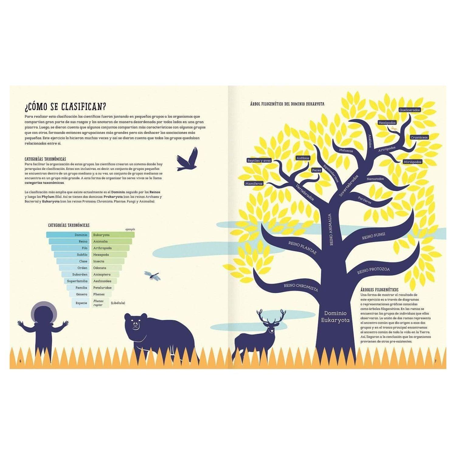 LIBRO INSECTOPEDIA - 2
