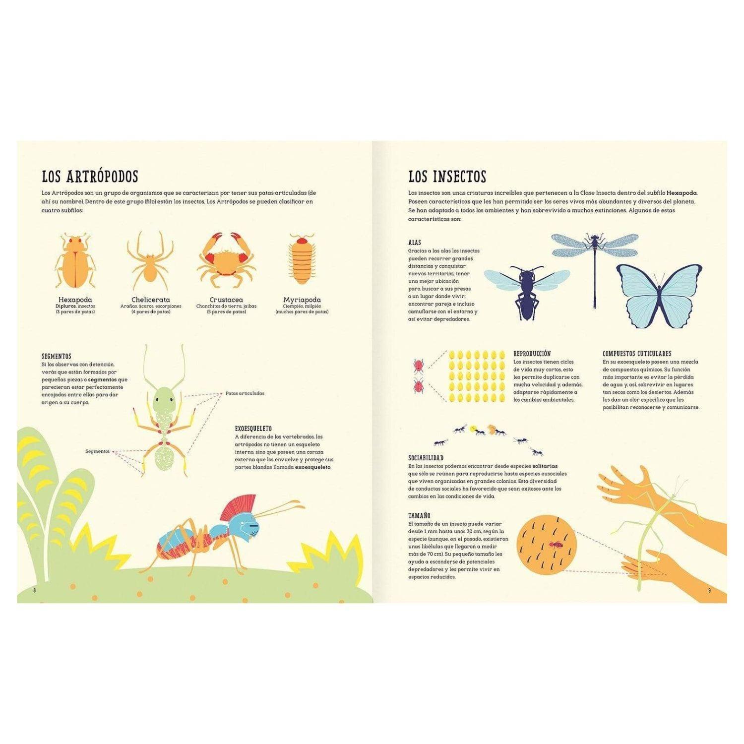 LIBRO INSECTOPEDIA - 3