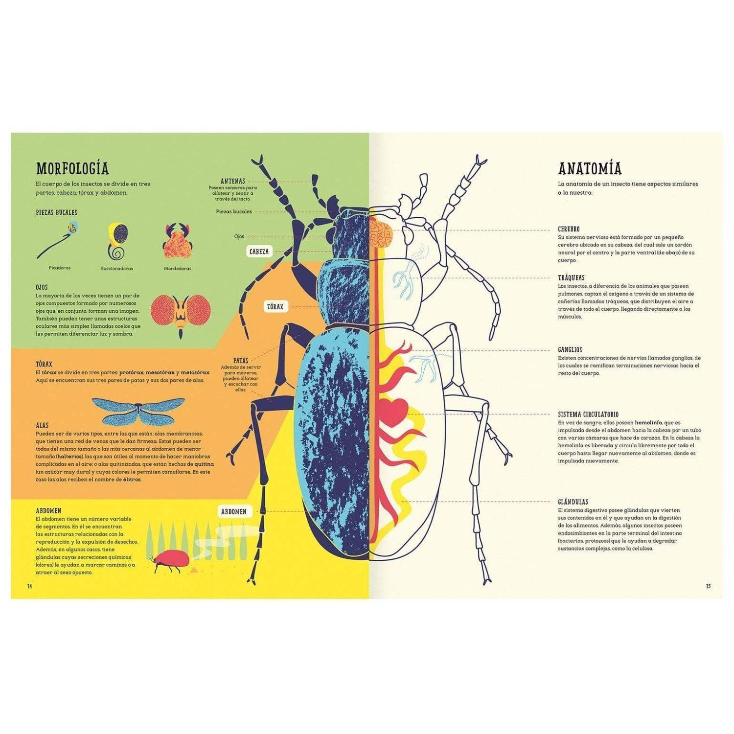 LIBRO INSECTOPEDIA - 4