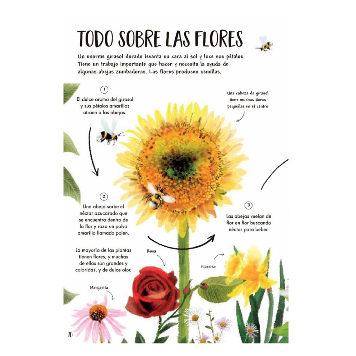 MI PRIMER LIBRO DE LA NATURALEZA - 2