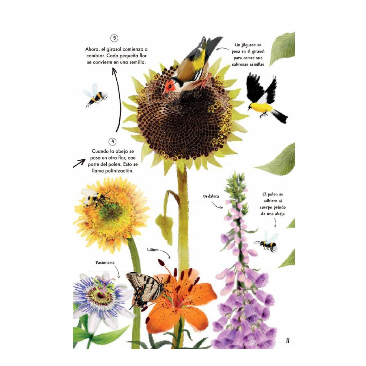 MI PRIMER LIBRO DE LA NATURALEZA - 3