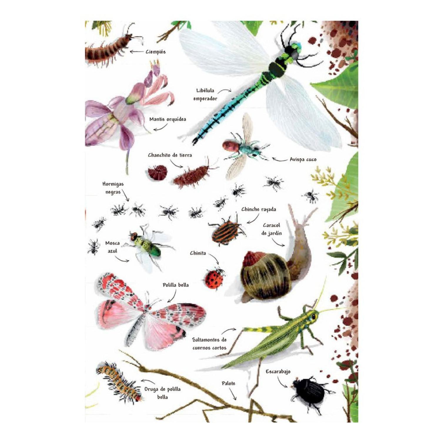 MI PRIMER LIBRO DE LA NATURALEZA - 5