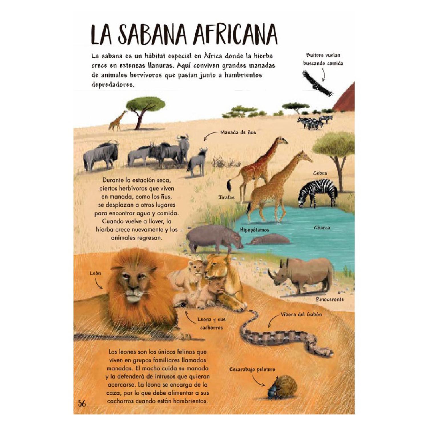 MI PRIMER LIBRO DE LA NATURALEZA - 7