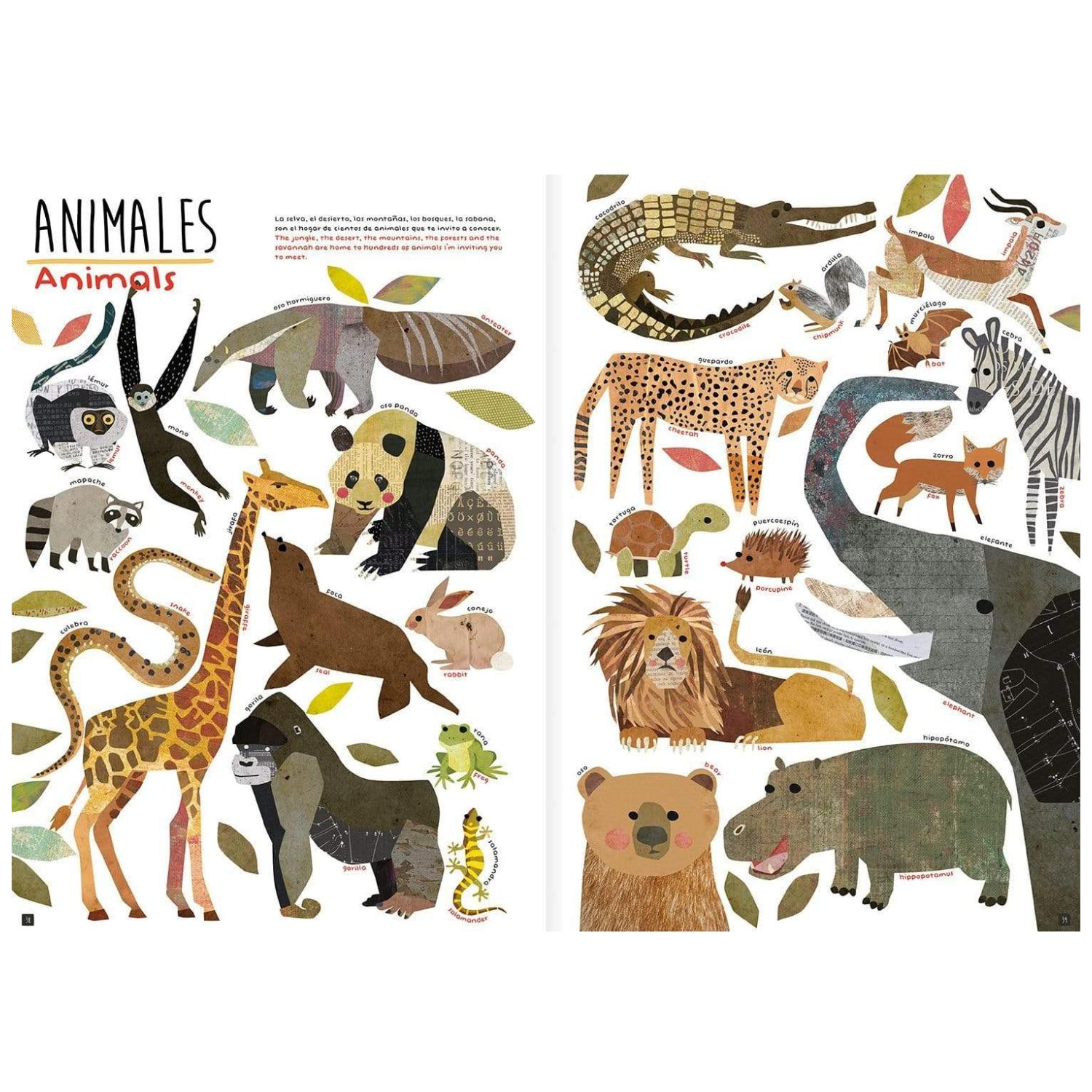 LIBRO SON TANTAS COSAS - SO MANY THINGS - 4