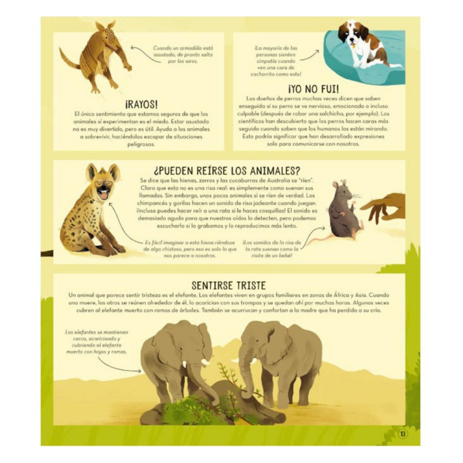 LIBRO LA SORPRENDENTE VIDA DE LOS ANIMALES - 3