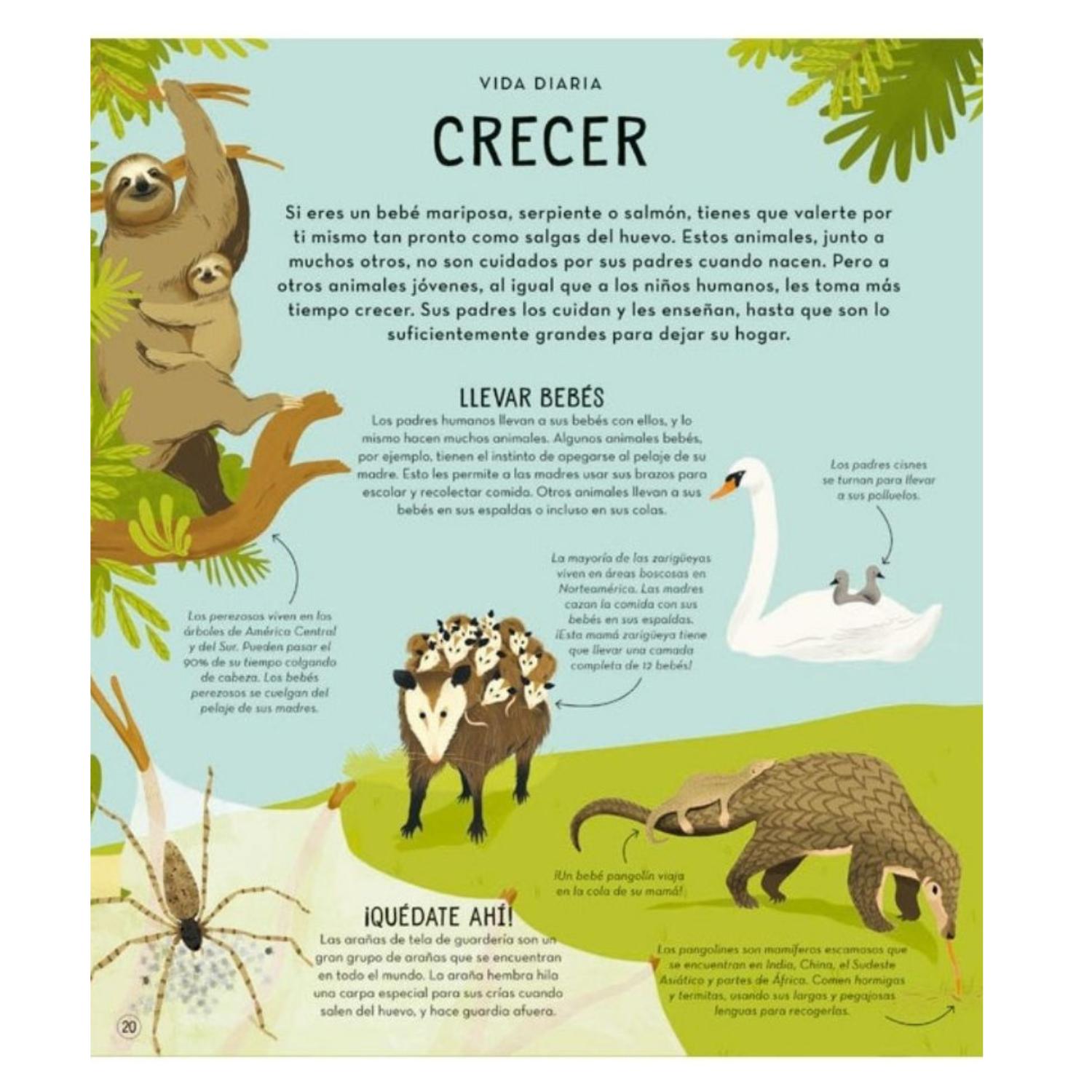 LIBRO LA SORPRENDENTE VIDA DE LOS ANIMALES - 4
