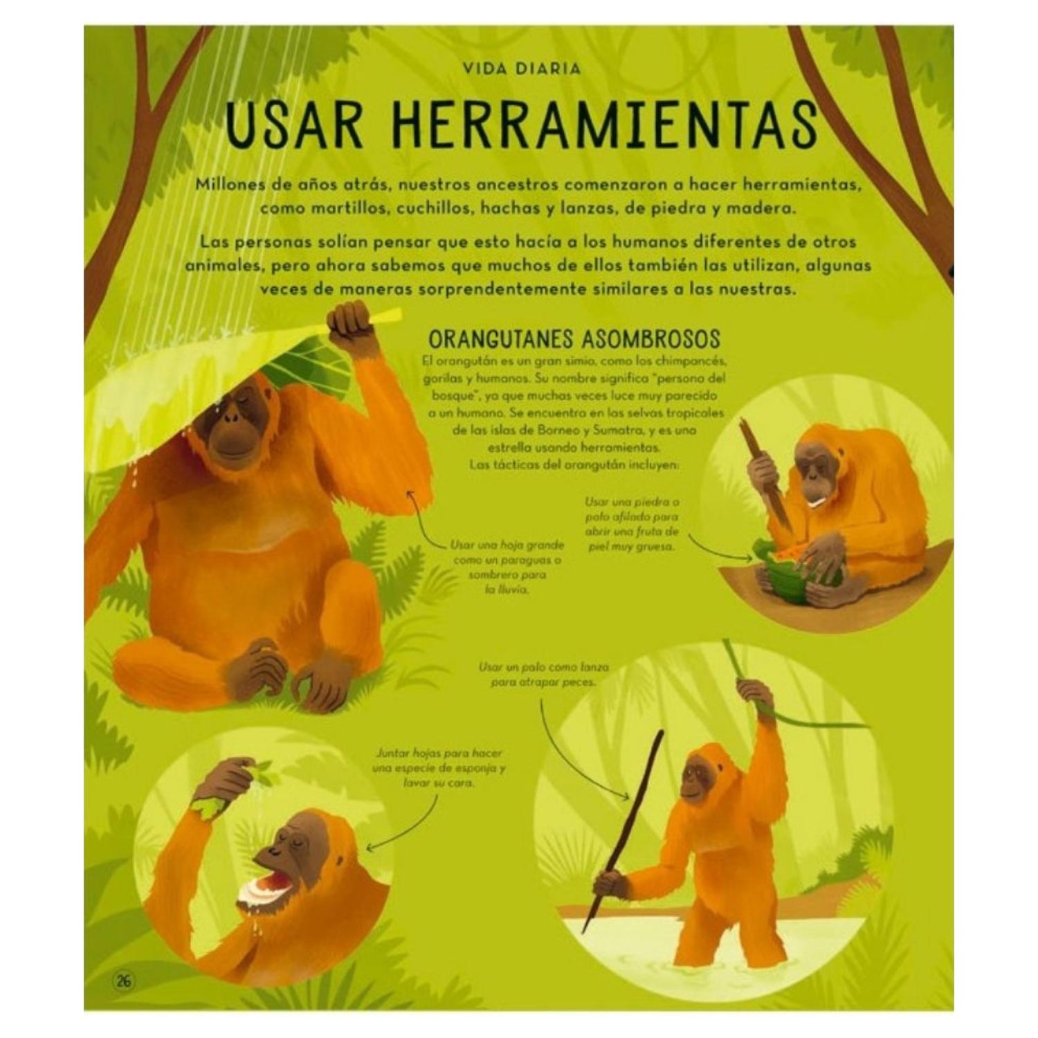 LIBRO LA SORPRENDENTE VIDA DE LOS ANIMALES - 5