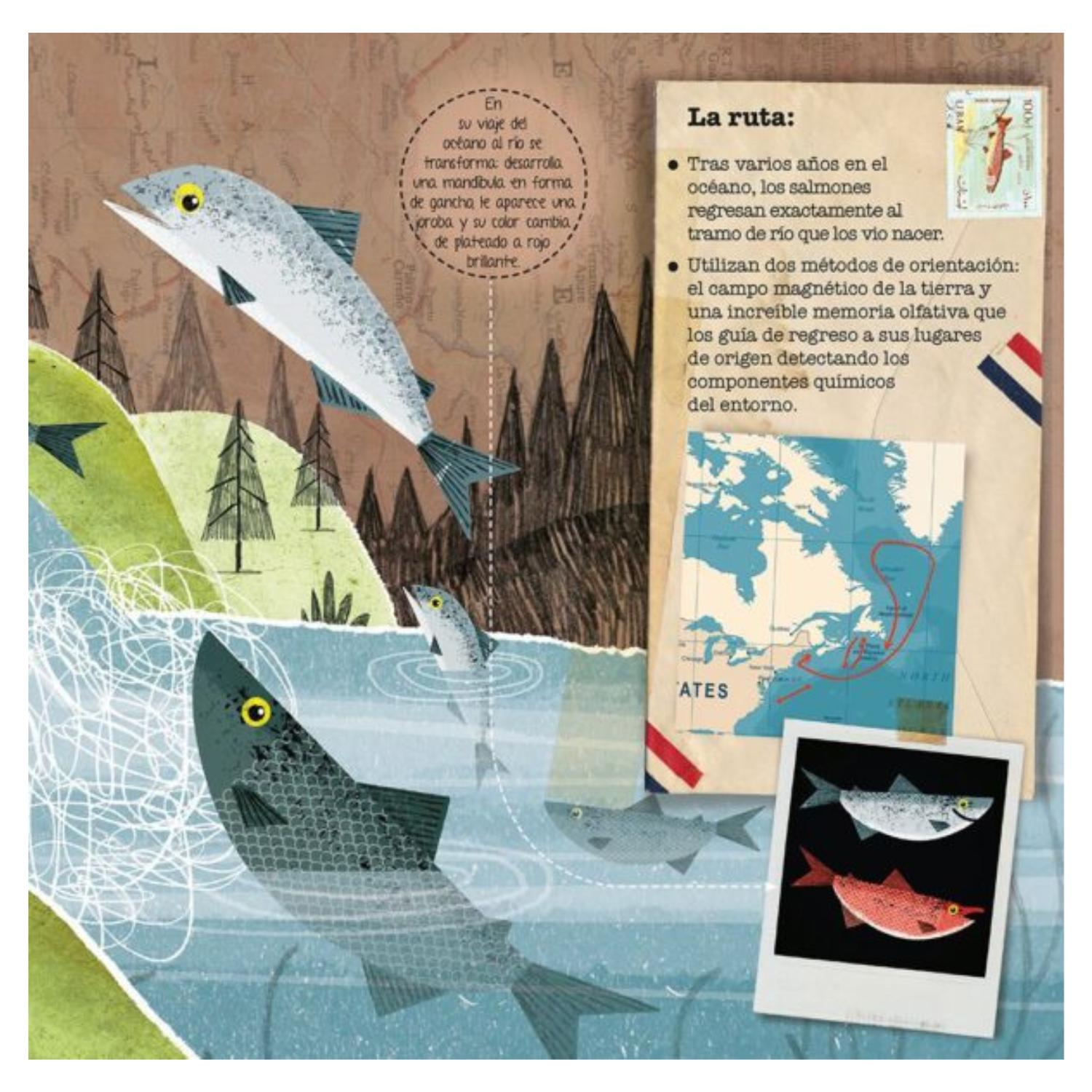 LIBRO ANIMALES VIAJEROS - 3
