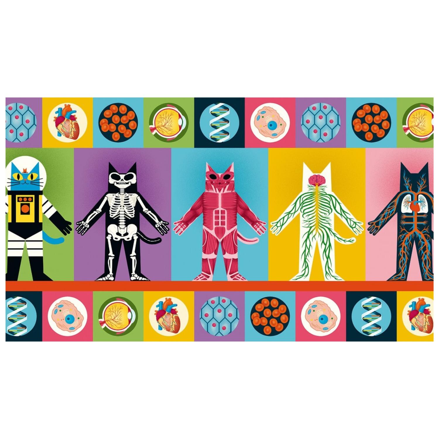 LIBRO EL PROFESOR ASTRO CAT Y LA ODISEA DEL CUERPO HUMANO - 4