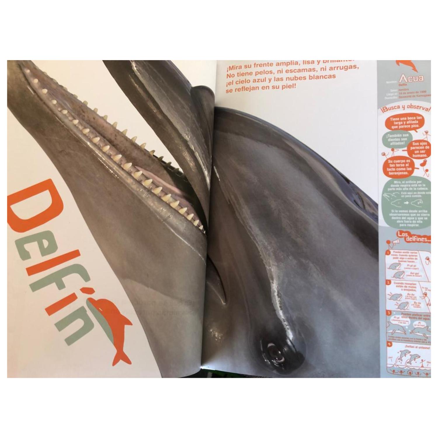 LIBRO ANIMALES AL NATURAL - UN ACUARIO PORTÁTIL - 3