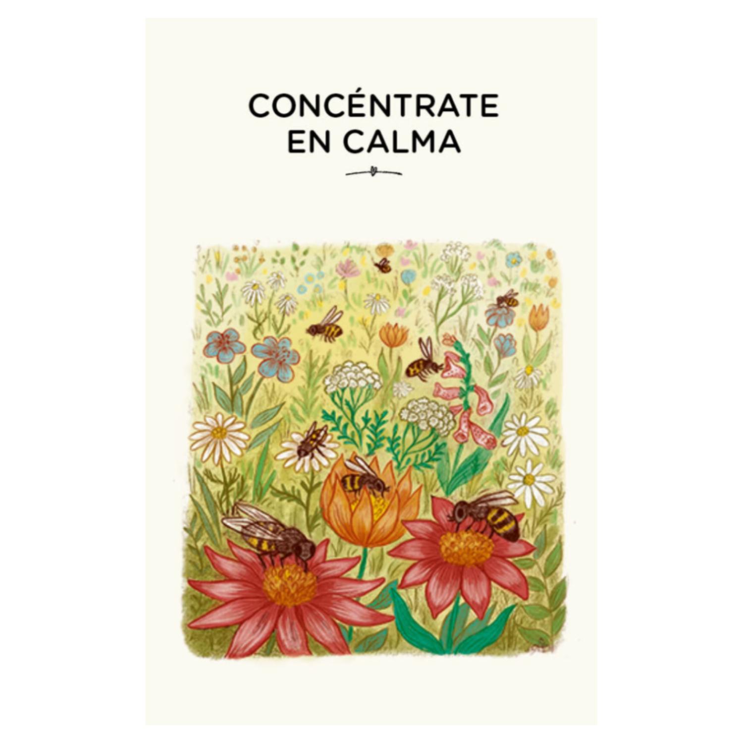 LIBRO CON CALMA (CARTAS): 30 ACTIVIDADES MINDFULNES - 5