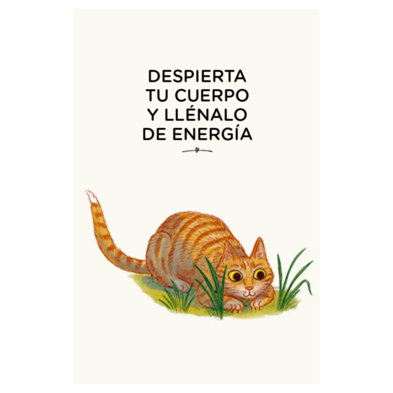 LIBRO CON CALMA (CARTAS): 30 ACTIVIDADES MINDFULNES - 7