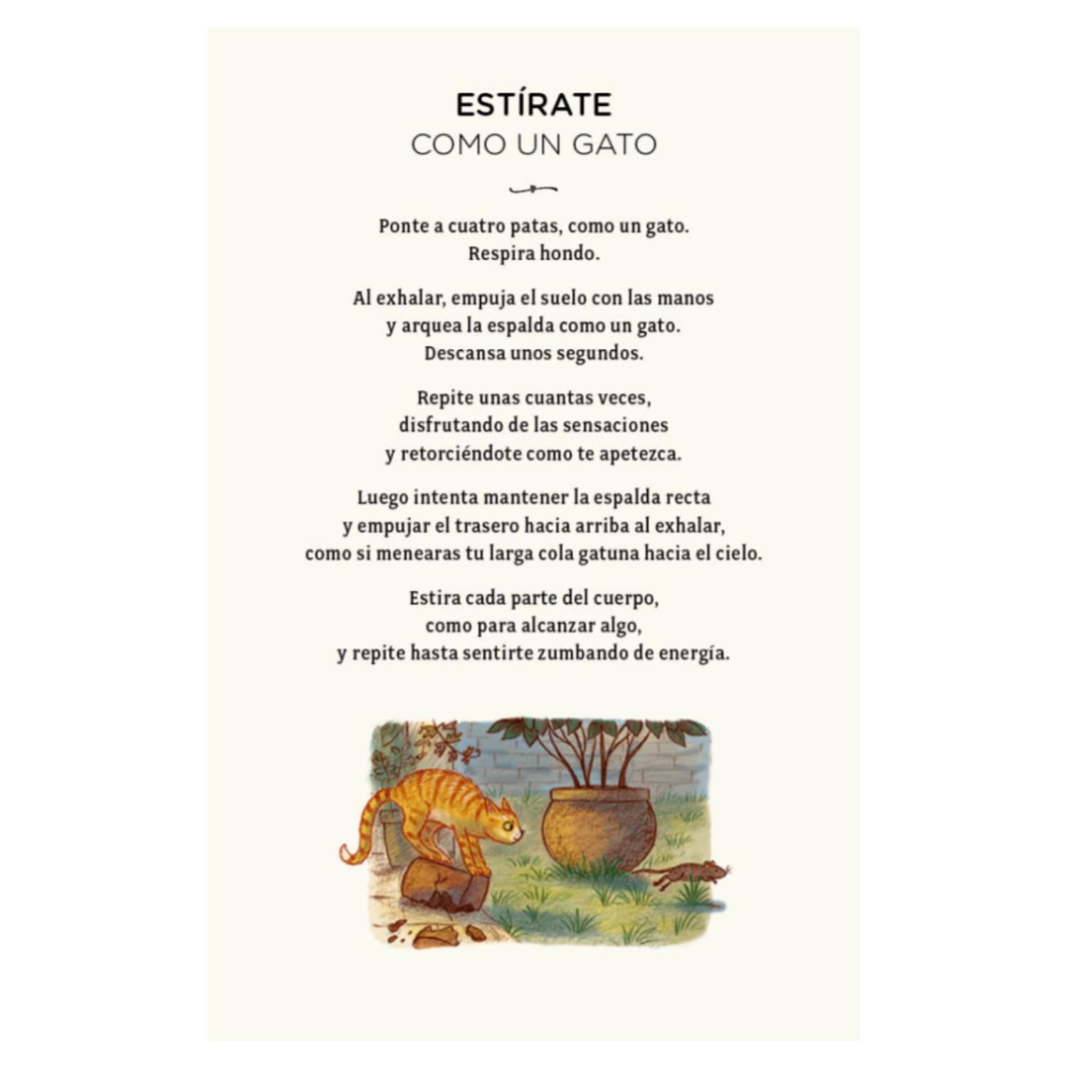 LIBRO CON CALMA (CARTAS): 30 ACTIVIDADES MINDFULNES - 8