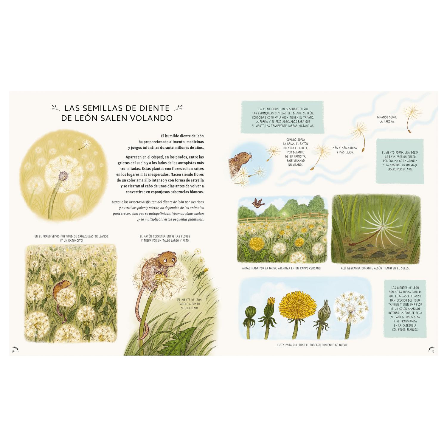 LIBRO CON CALMA, AQUÍ Y AHORA: MÁS HISTORIAS DE LA NATURALEZA - 3