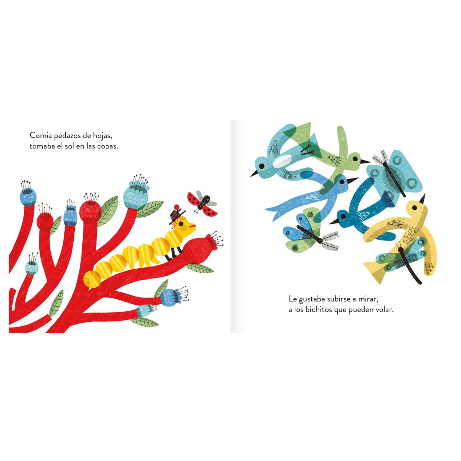 UNA CUNCUNA AMARILLA - 4