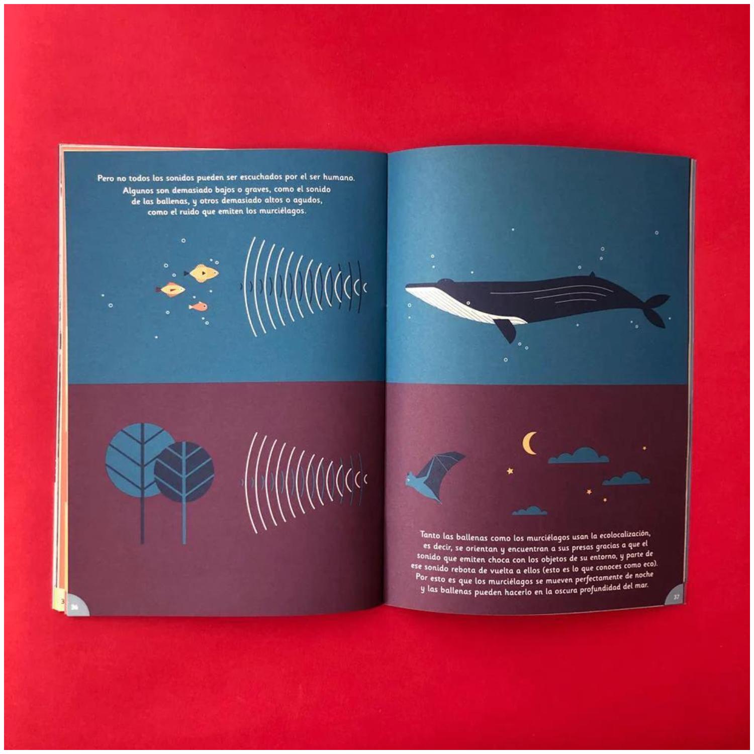LIBRO REVISTA GUARISAPO N2 - 5