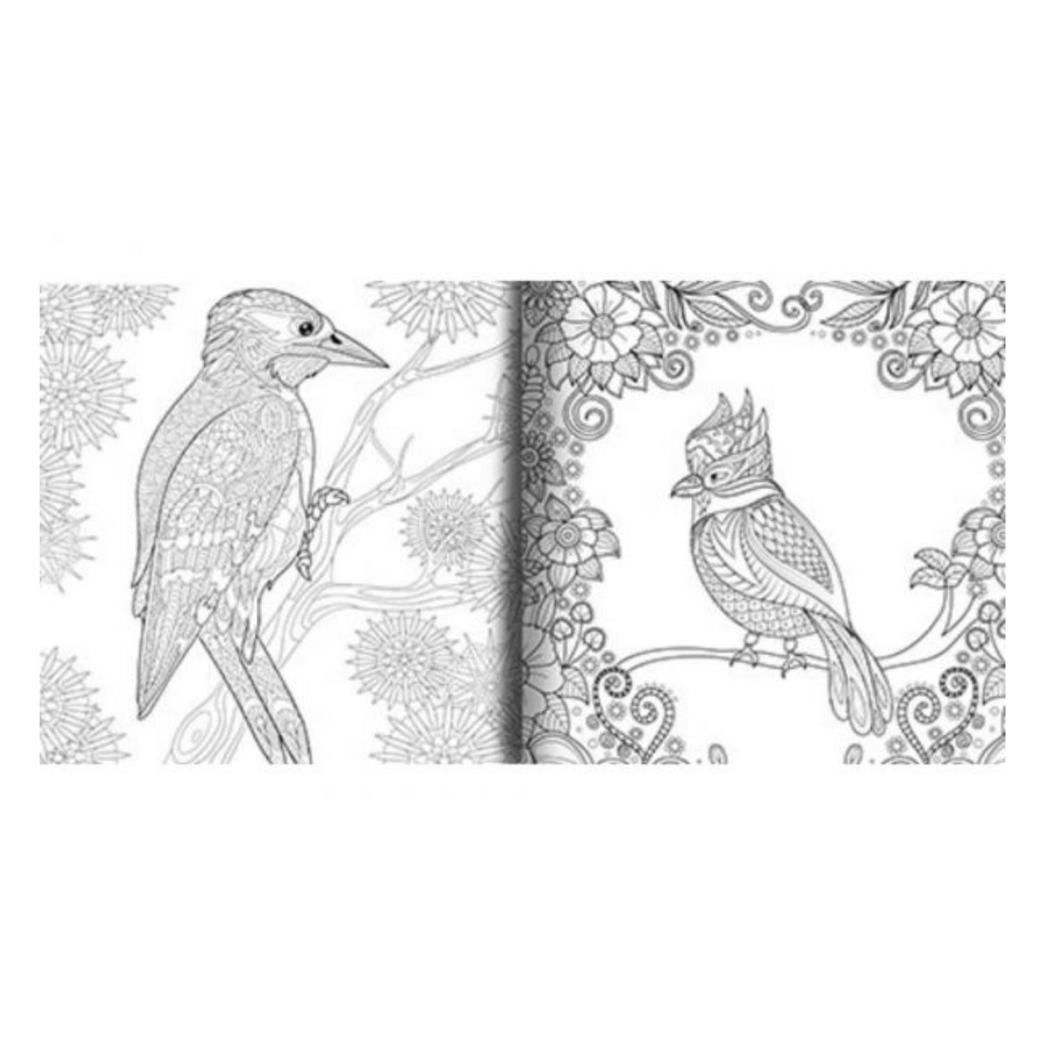 LIBRO UNIVERSO MANDALA - CONECTA CON LA ENERGÍA DE LAS AVES - 2