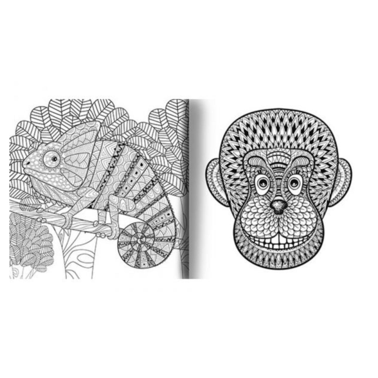 LIBRO UNIVERSO MANDALA - CONECTA CON LA VIDA ANIMAL - 2