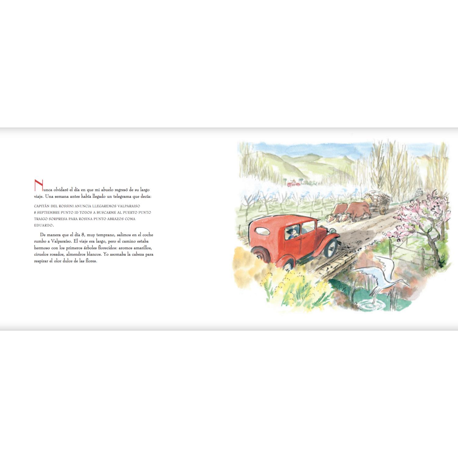 LIBRO INFANTIL ¡BRAVO, ROSINA! MARÍA JOSÉ THOMAS - 2