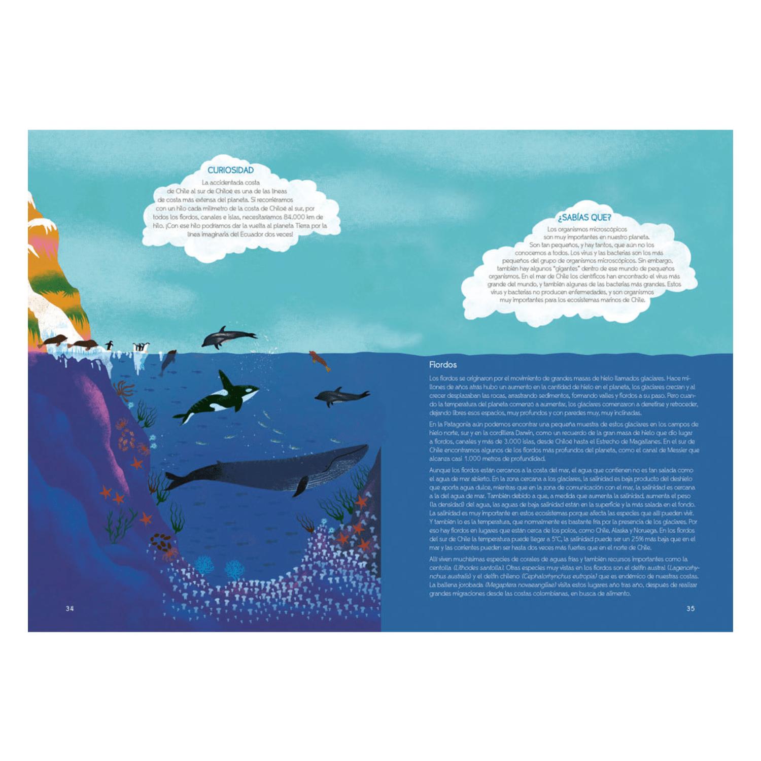 CHILE ES MAR - 3