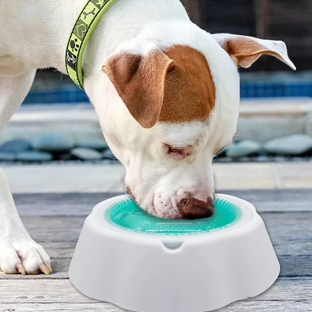 PLATO BOWL MANTIENE AGUA FRESCA PARA MASCOTA - VERANO FROSTY - 1