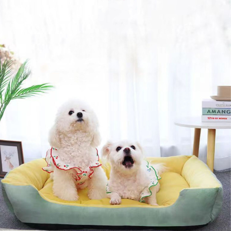 CAMA PARA MASCOTAS XL CON JUGUETE MÁXIMA COMODIDAD AMARILLA - 2