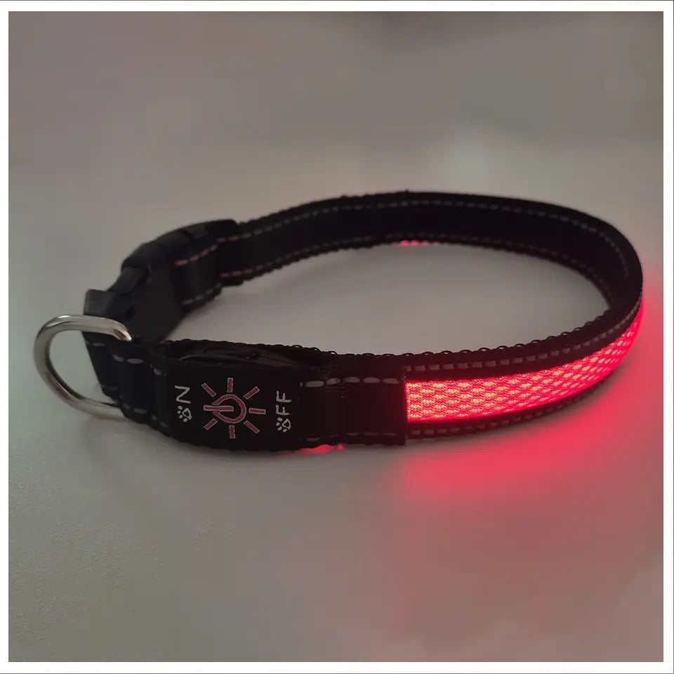 COLLAR PERROS GATOS LUZ LED 3 MODOS CARGA USB ROJO TALLA S - 4