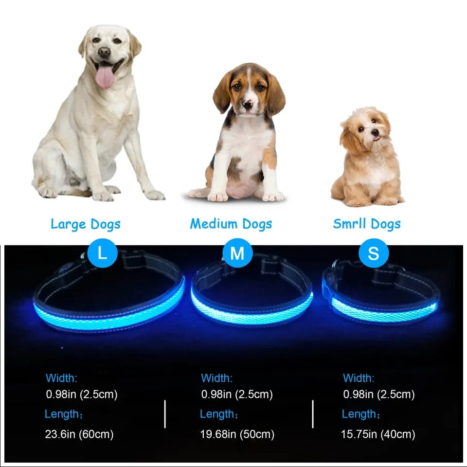 COLLAR PERROS GATOS LUZ LED 3 MODOS CARGA USB ROJO TALLA S - 6