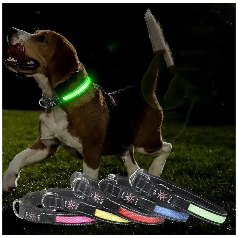 CORREA PERROS GATOS LUZ LED CARGA USB 3 MODOS VERDE TALLA S - 5