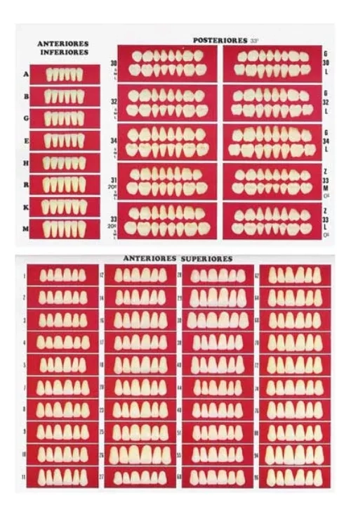 CATALOGO DE MOLDES PARA DIENTES MARCHE EN PAPEL - 1
