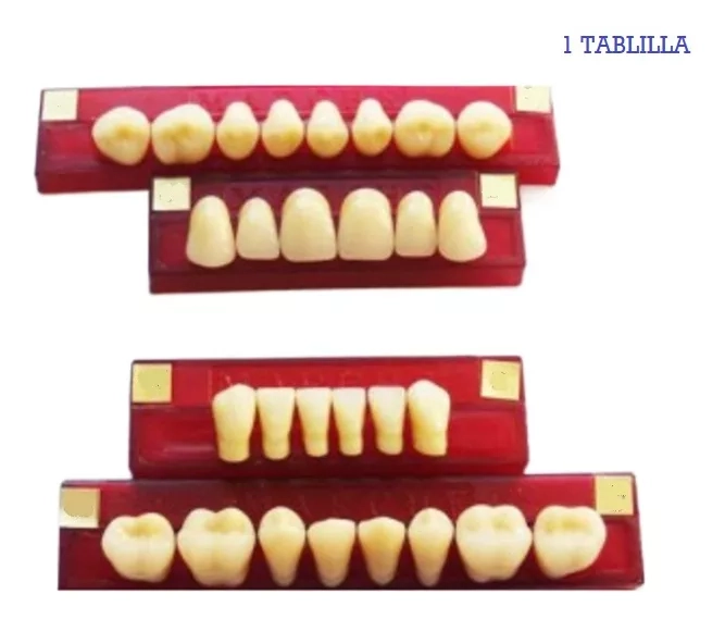 TABLETA DE DIENTES DE ACRILICO MARCHE POSTERIORES SUPERIORES - 1