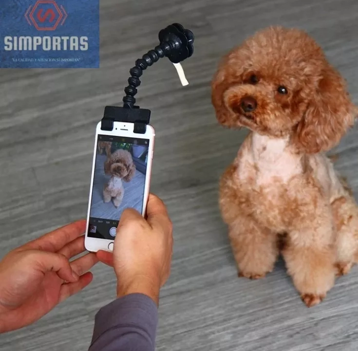 PALO SELFIE PARA MASCOTAS PERRO GATO NOVEDAD 2021 SANTIAGO - 1