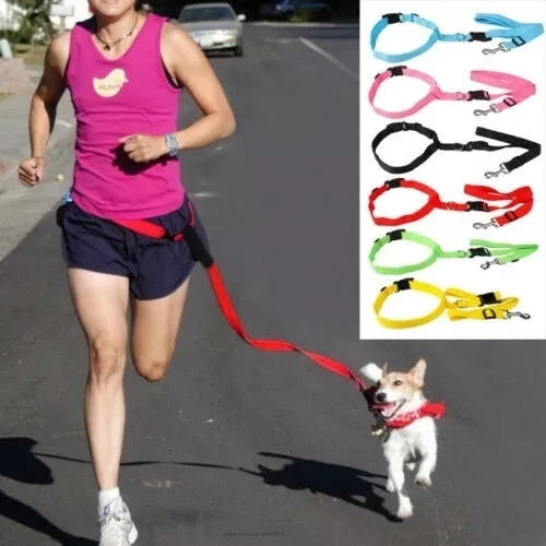 CINTURON CORREA PARA CORRER CON TU PERRO RUNNING SANTIAGO - 1