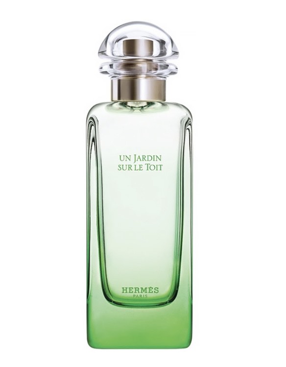 HERMES UN JARDIN SUR LE TOIT EDT 100 ML - 2
