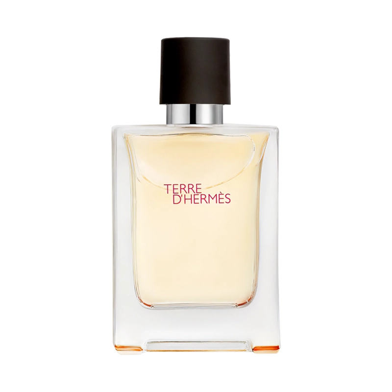 PERFUME TERRE DE HERMES HERMES TERRE HOMBRE EDT 100 ML - 2