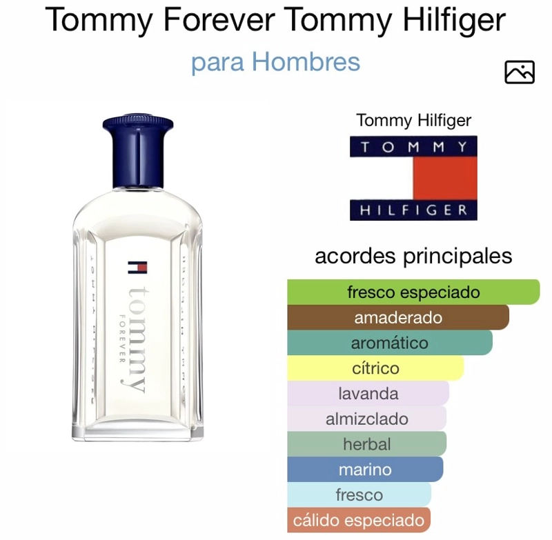 TOMMY HILFIGER FOREVER MAN EDT 100 ML - 4