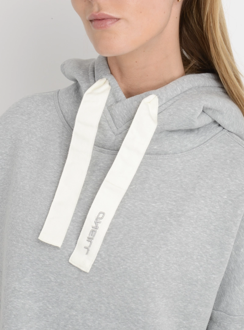 POLERON HOODIE HAMPTON GRIS - 5