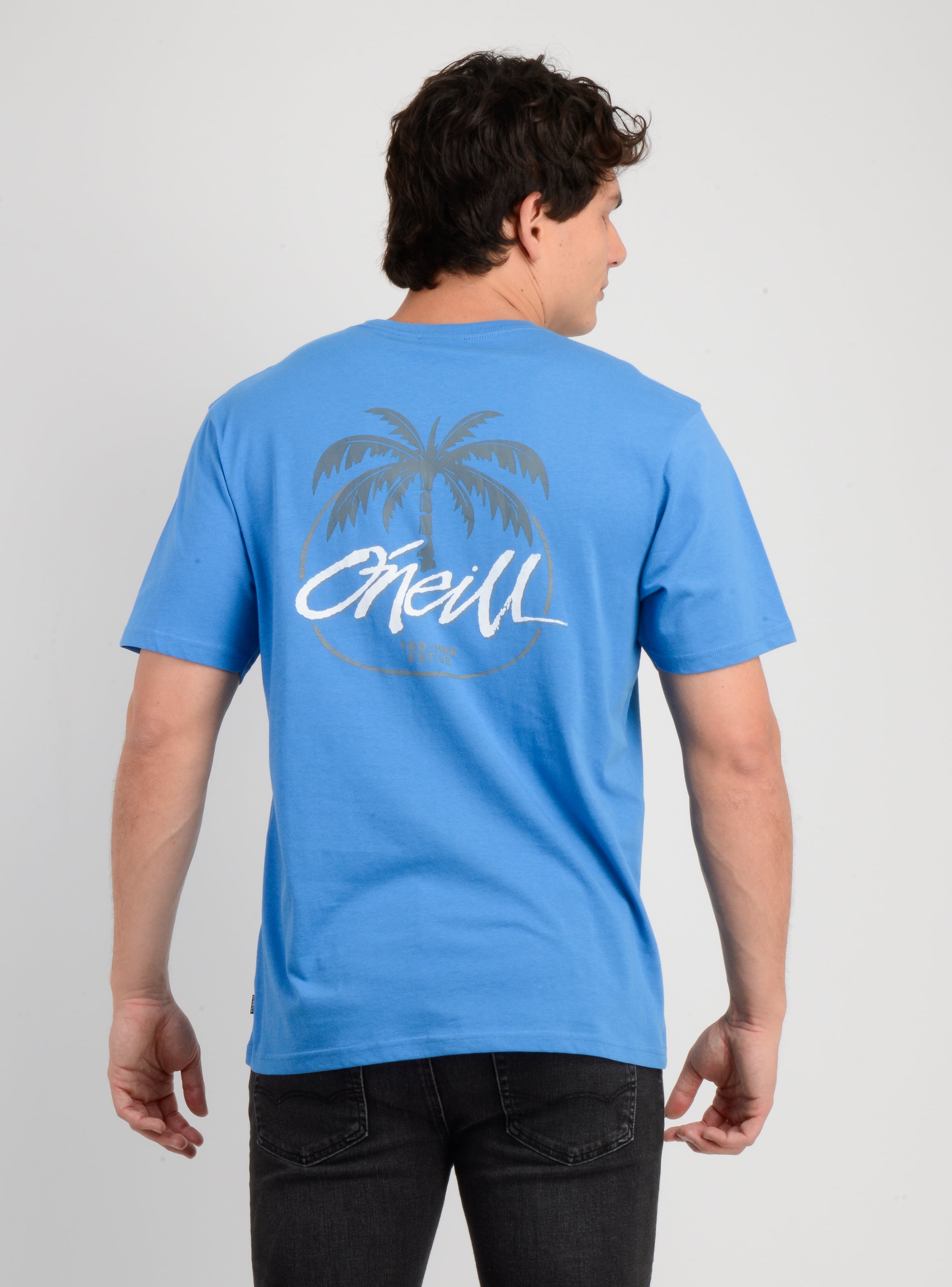 POLERA MANGA CORTA HOME GROWN AZUL - 2