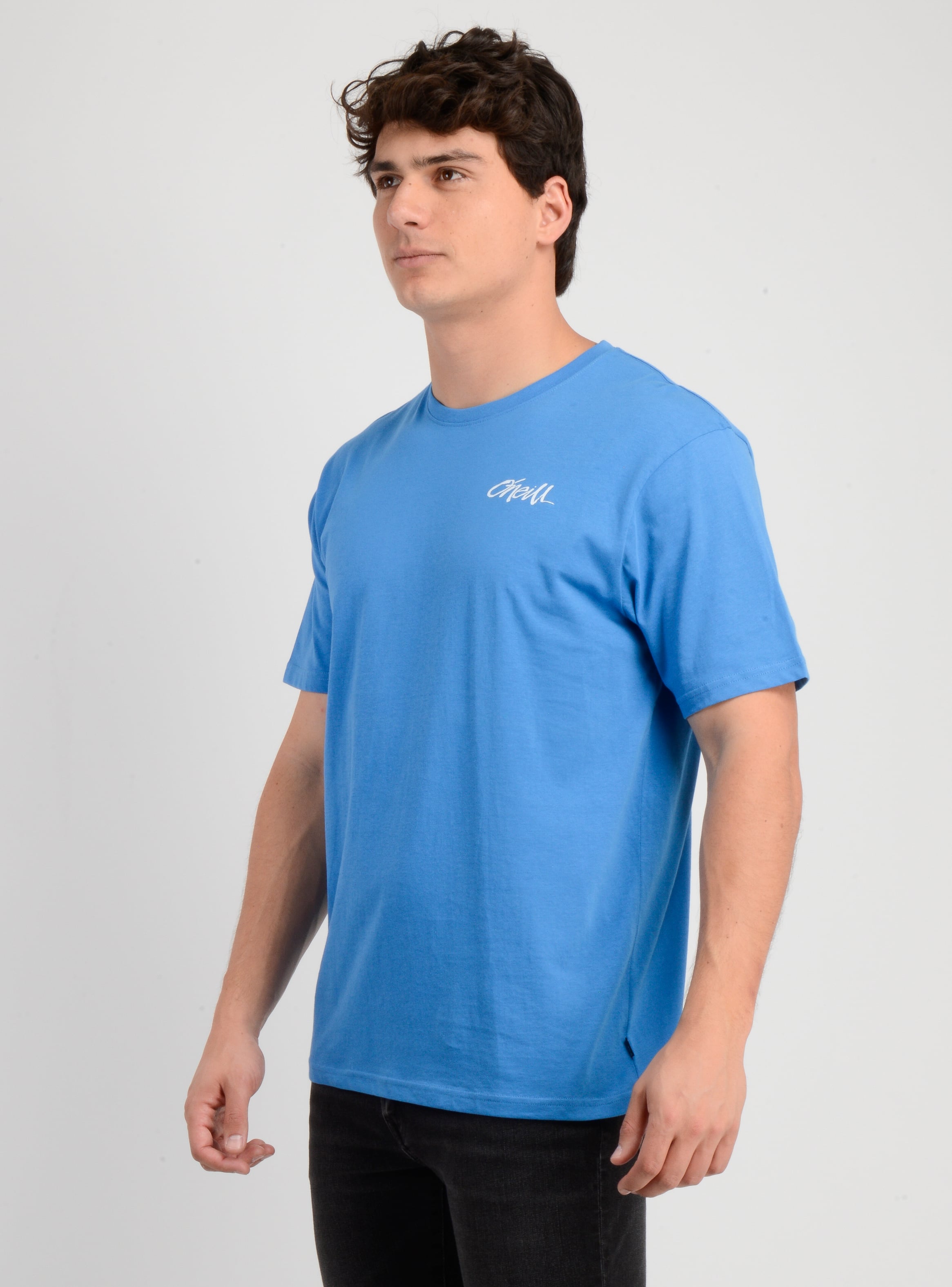 POLERA MANGA CORTA HOME GROWN AZUL - 3