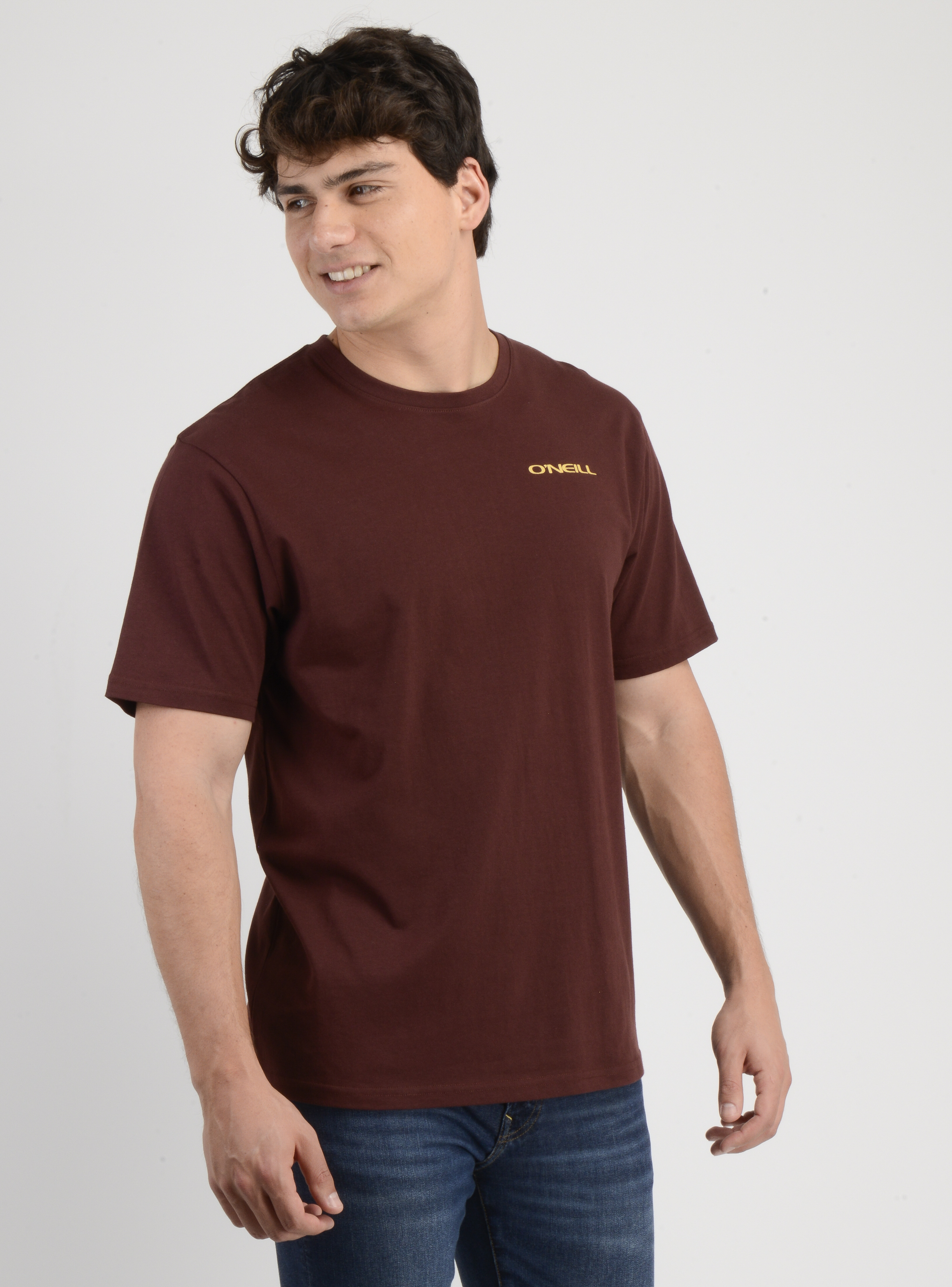 POLERA MANGA CORTA GLASSY DAYS ROJO OSCURO - 4