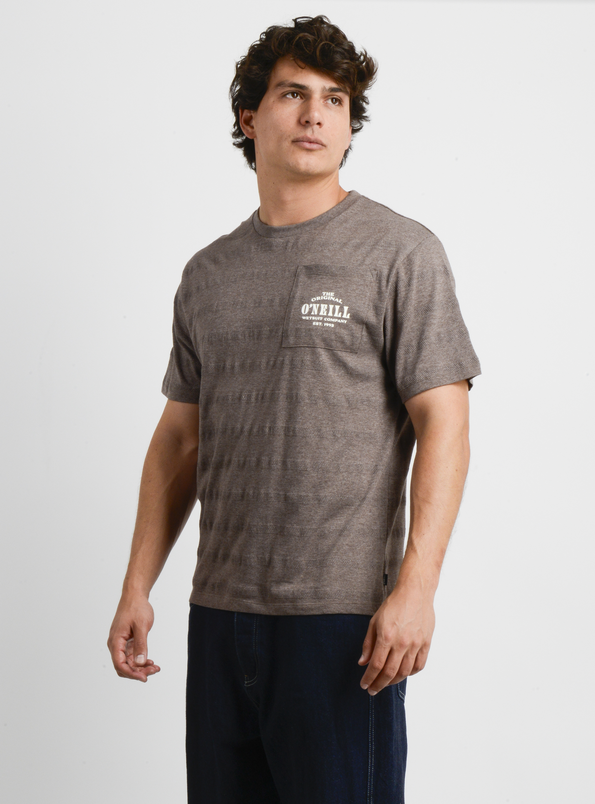 POLERA MANGA CORTA DINSMORE II CAFE - 3
