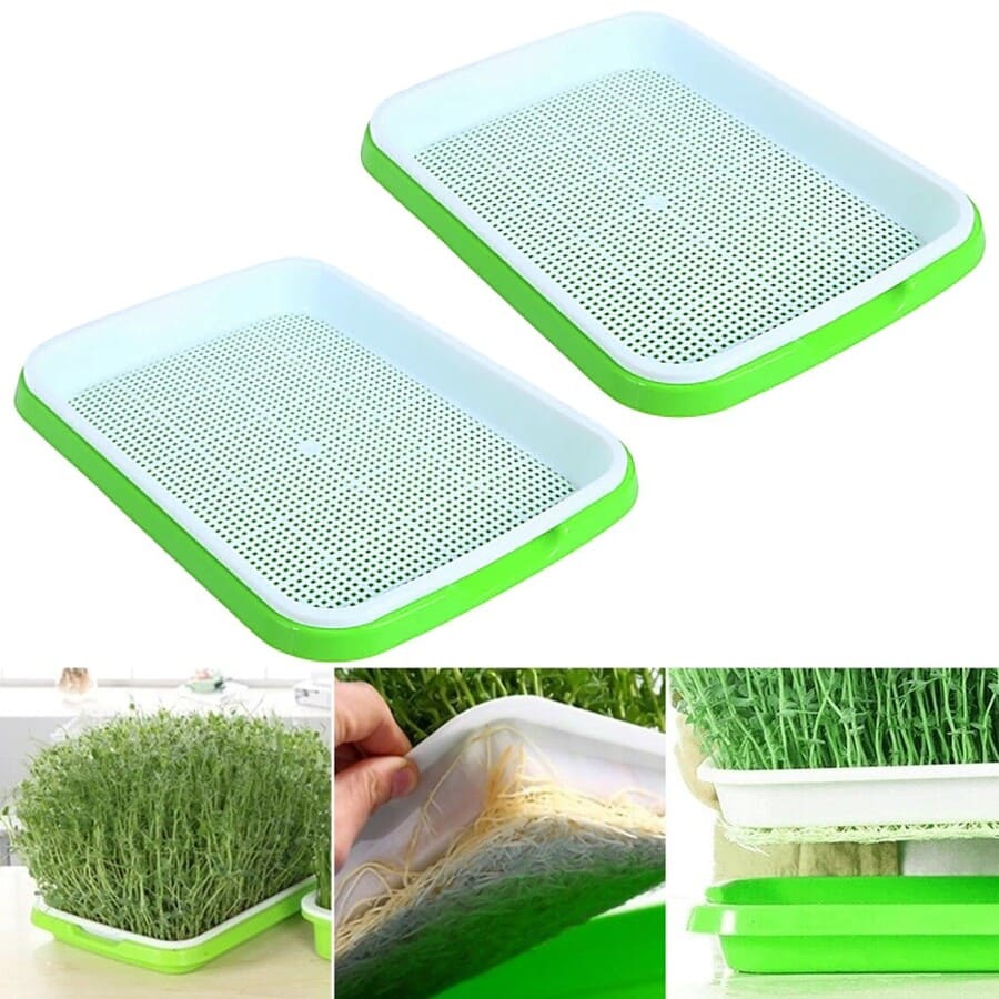 2 BANDEJA MICROGREENS GERMINADOR ALMACIGUERA DE SEMILLA / VERDE - 1