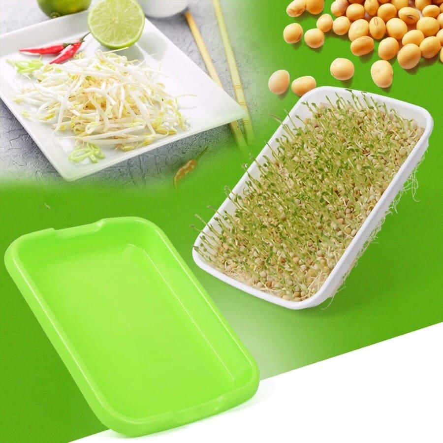 2 BANDEJA MICROGREENS GERMINADOR ALMACIGUERA DE SEMILLA / VERDE - 6
