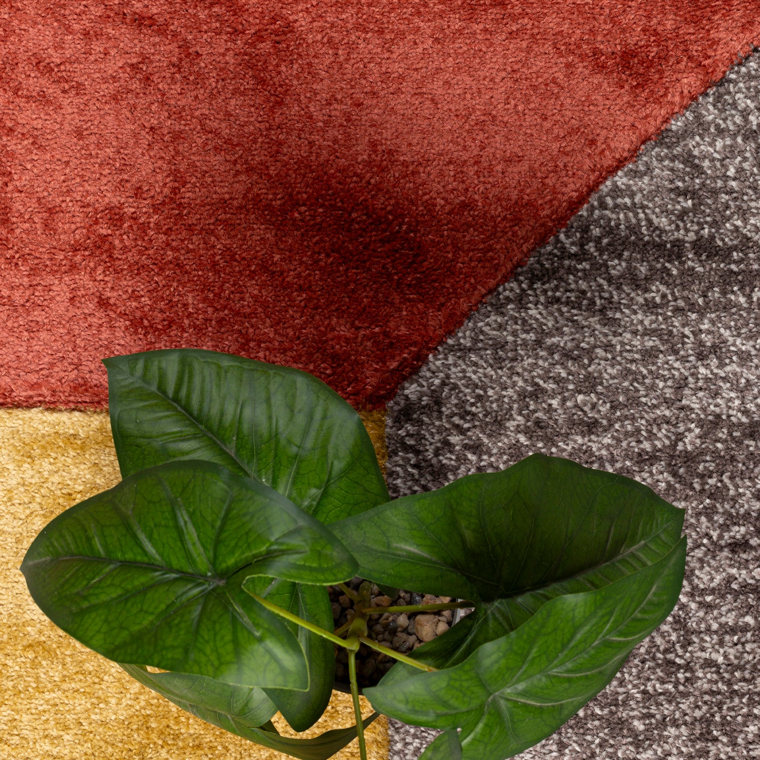 ALFOMBRA ORLEANS 190X290 E0899 D.BEIGE GOLD - 5