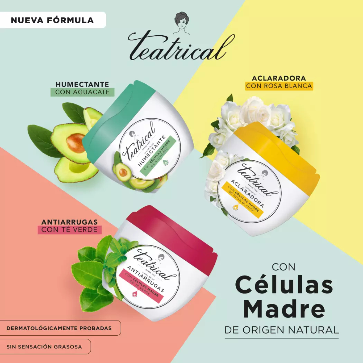TRATAMIENTO ANTIEDAD ROSTRO TEATRICAL CREMA FACIAL HUMECTANTE 200 GR - 4
