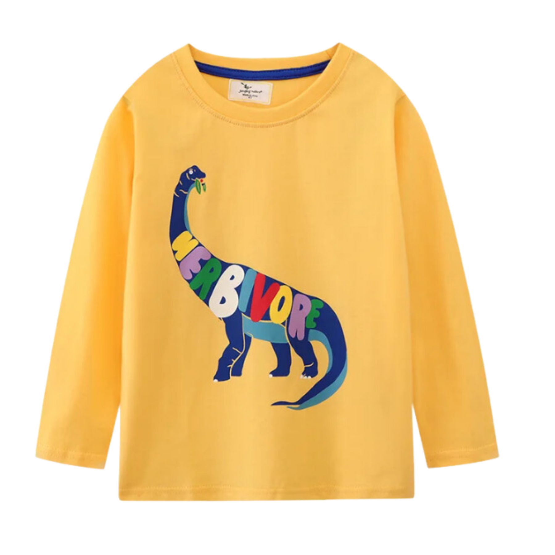 Sudadera Niños De Algodón Sin Capucha - Estampado Dinosaurio, Manga Larga, Tallas 2-7 Años