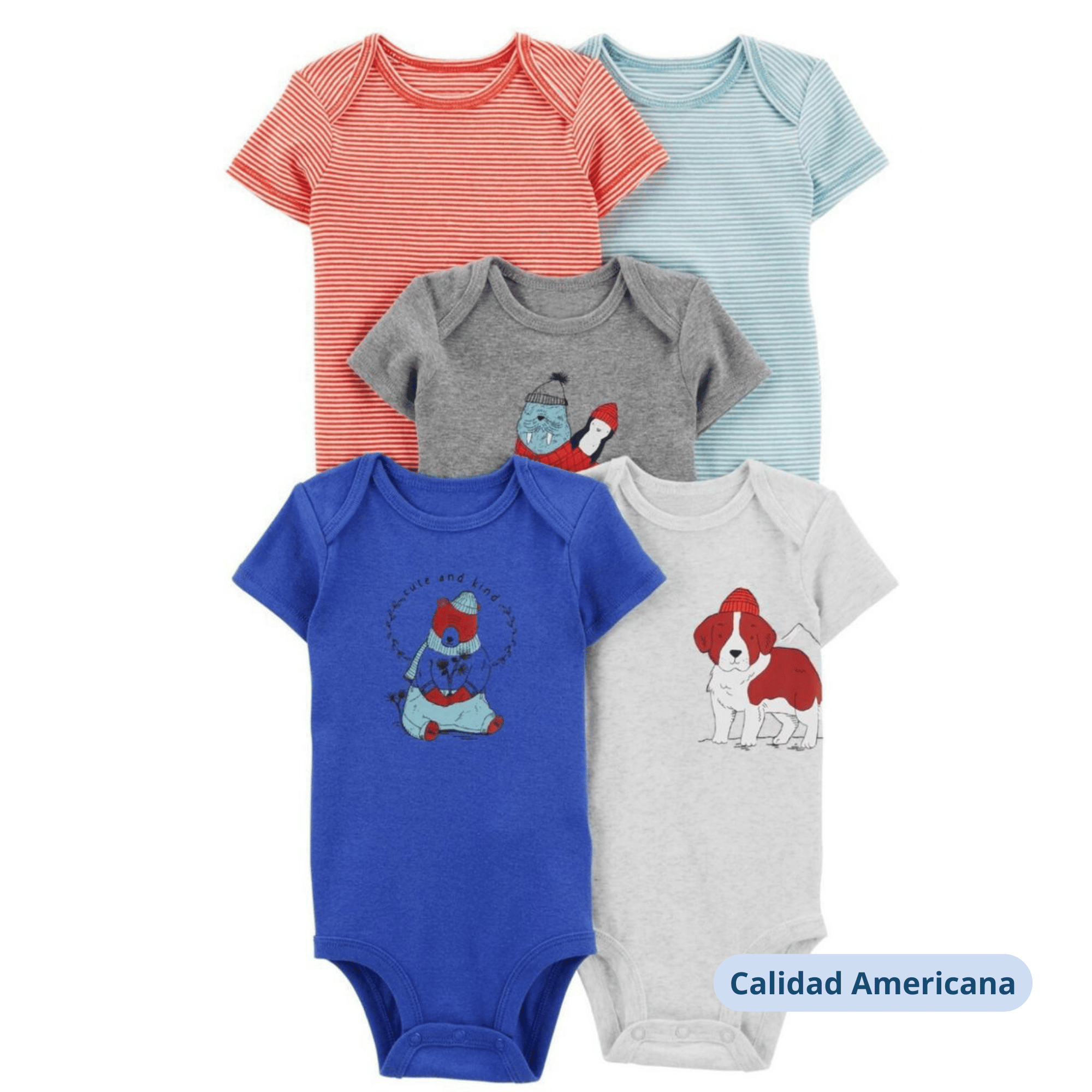 PACK 5 BODY ALGODON NIÑO UTILISIMO MULTICOLOR AZUL MANGA CORTA TEDMIMAK PUERCOESPIN - 4