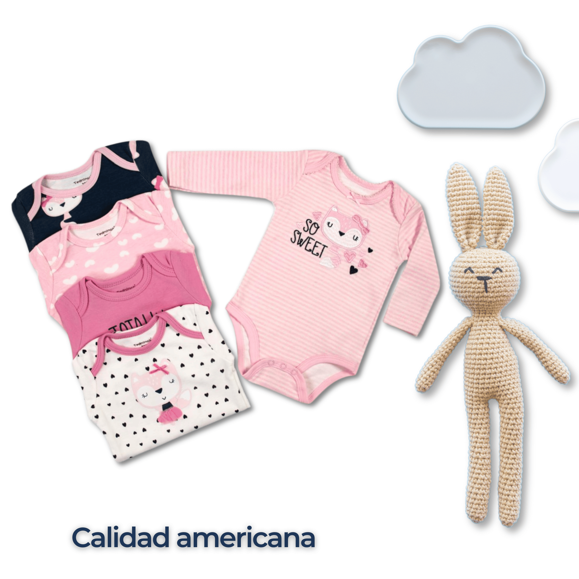 PACK 5 BODYS BEBÉ NIÑA MANGA LARGA TEDMIMAK ALGODÓN SWEET ROSE - 6